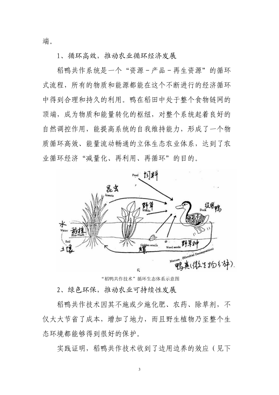 稻鸭共作对现代农业安全生产和环境保护的积极作用.docx_第3页