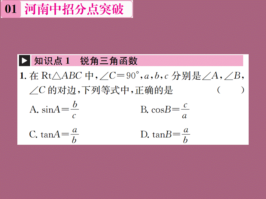 章末复习(一)　直角三角形的边角关系ppt课件.ppt_第2页