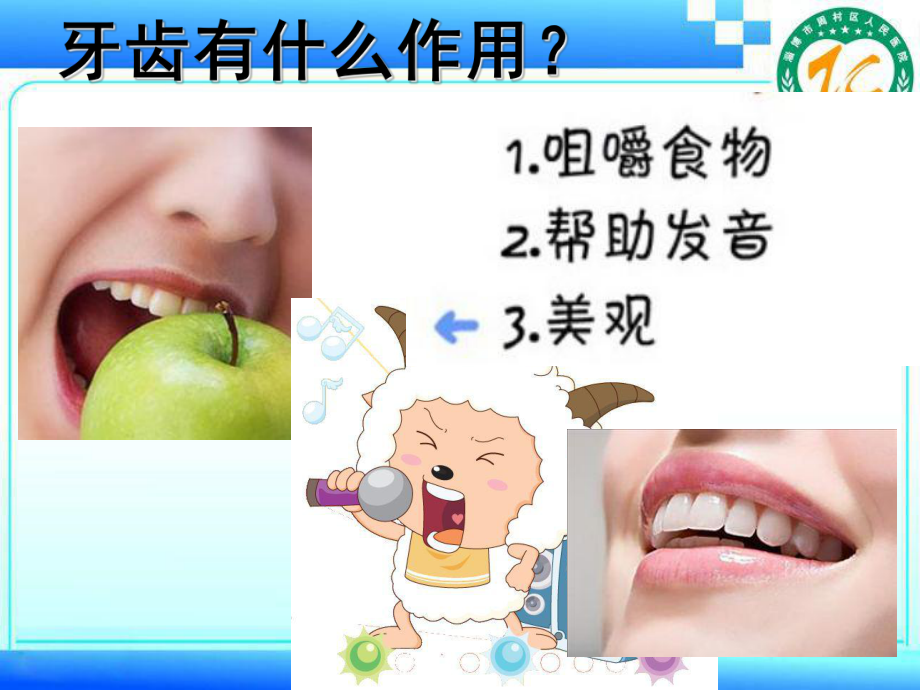 儿童牙齿保健讲课（课堂PPT）.ppt_第3页