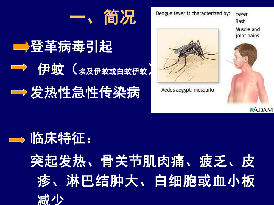 登革热知识课件.ppt_第3页