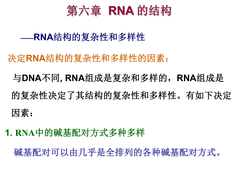 核酸化学RNA的结构.ppt_第1页