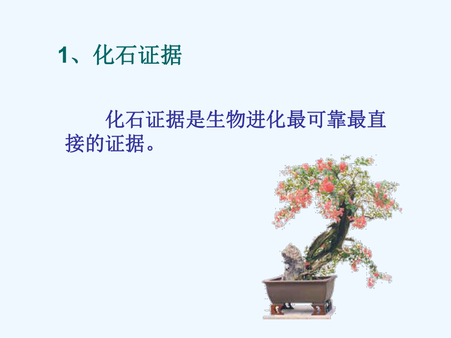 生物进化的证据86906.ppt_第3页